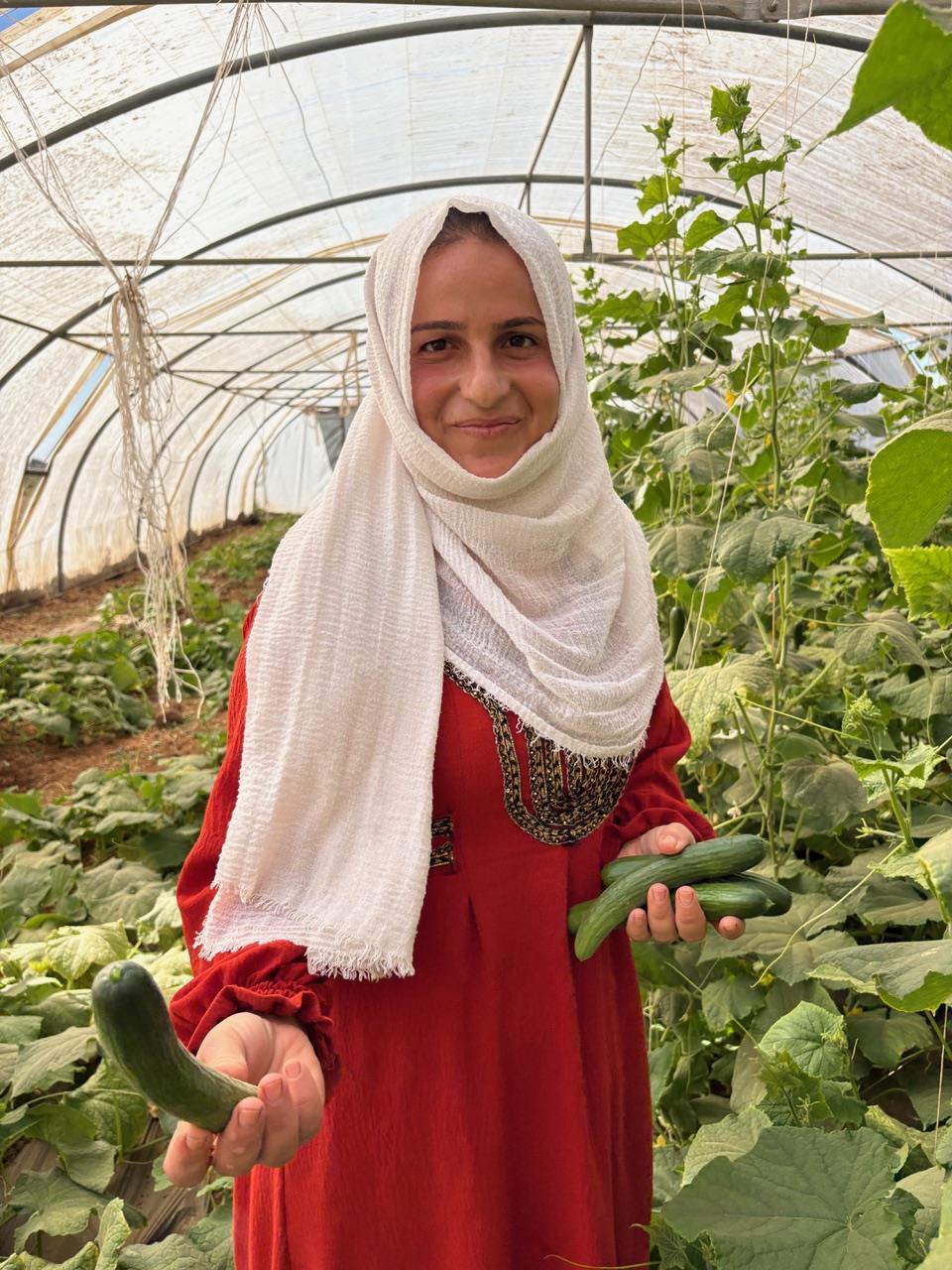 syrie sklenik s urodou